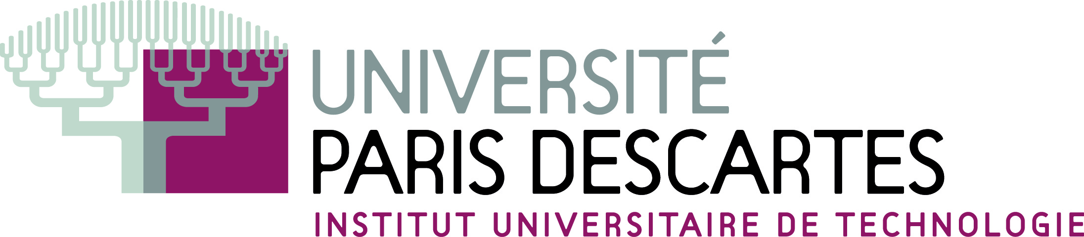 Université Paris Descartes