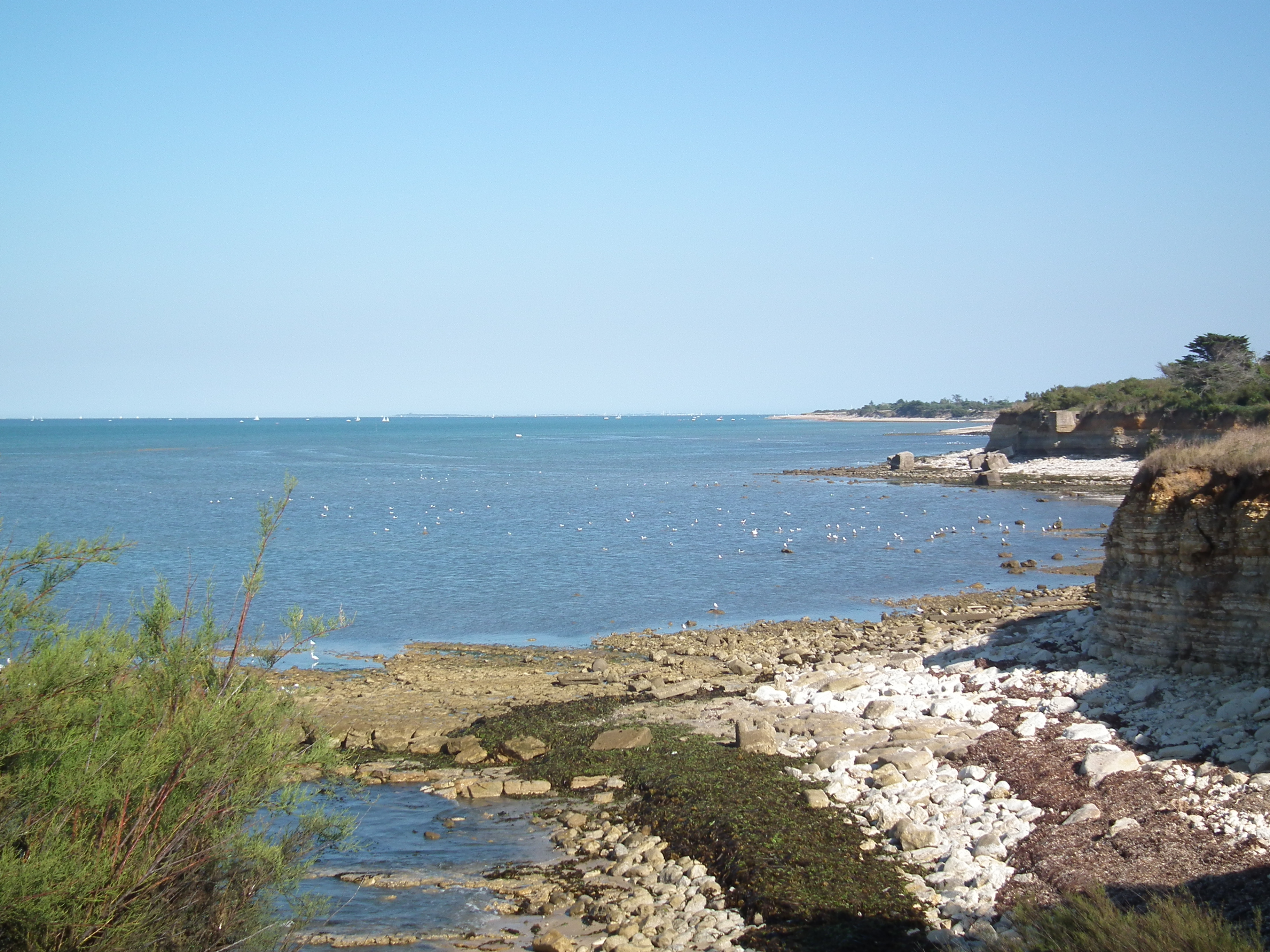 Nouvelle-Aquitaine
