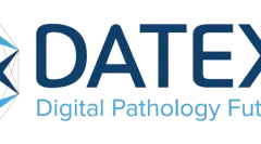 DateXim