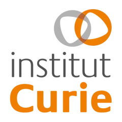 Institut Curie