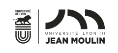Université de Lyon 3