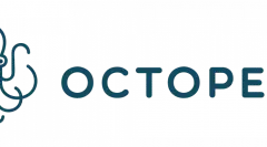 Octopeek