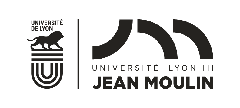 Université de Lyon 3