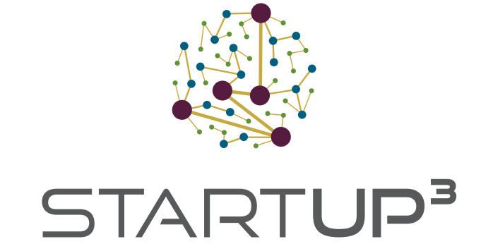 Startup3