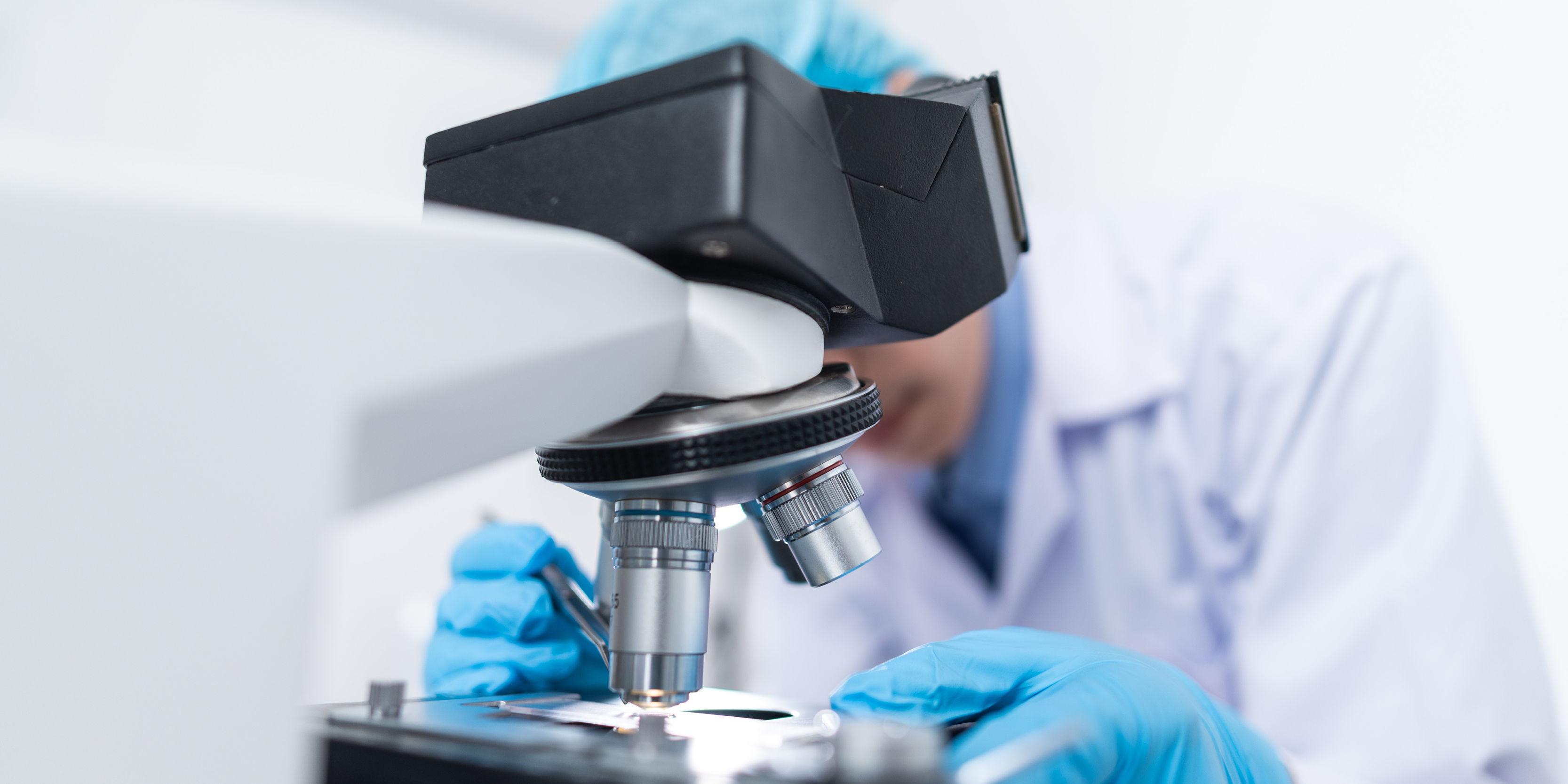 Researchers from the University of Antwerp study the role of T-cells using Artificial Intelligence