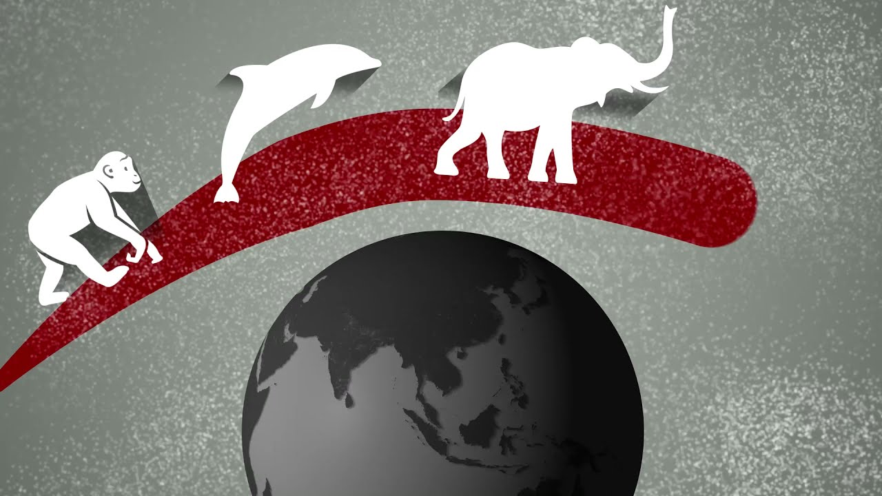 Can Artificial Intelligence evolve in the image of living beings?