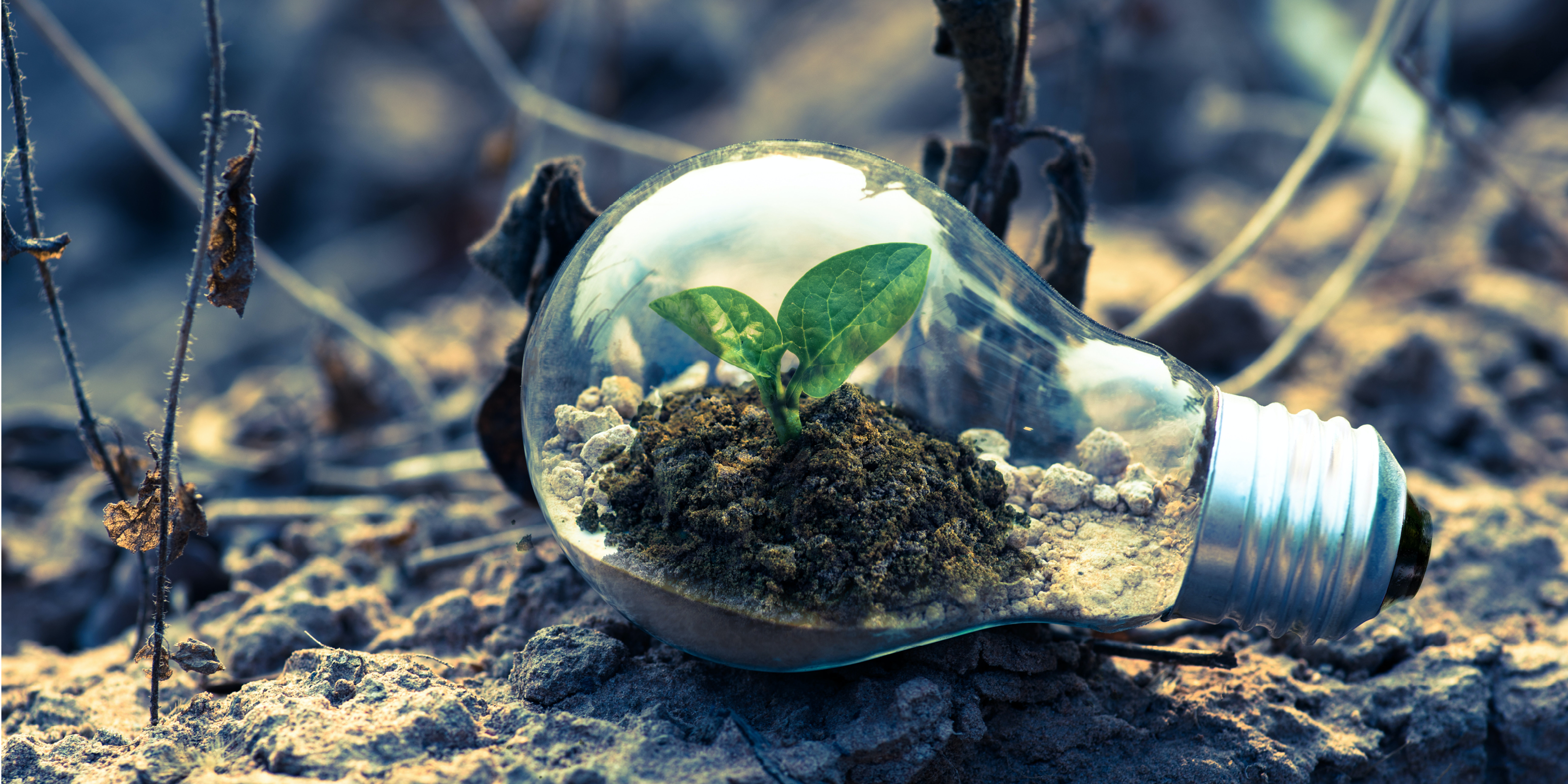 Canada: Impact Canada Grand Prize Winners Announced