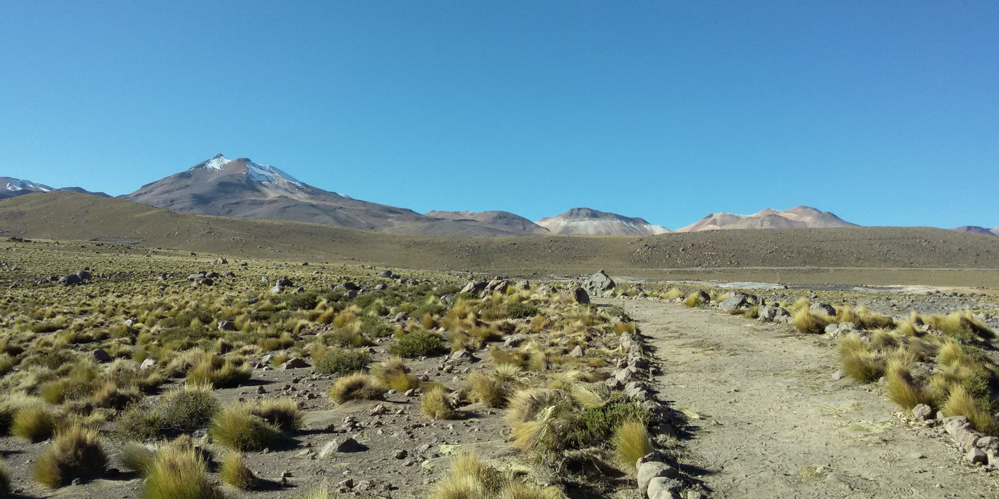 Understanding the climate resilience mechanisms of plants in hostile environments using machine learning