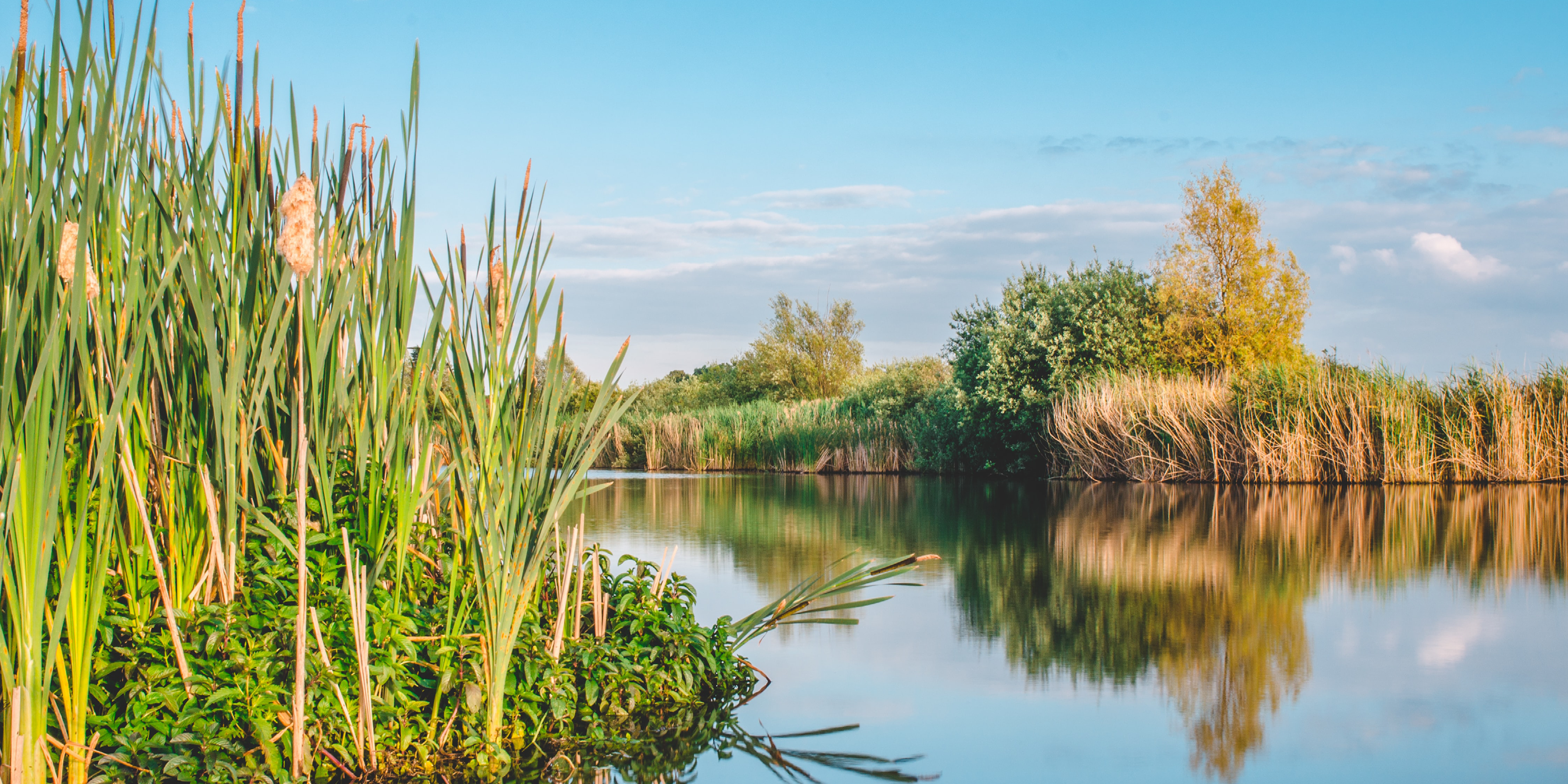 FairCarboN, Priority Research Program and Equipment (PEPR) which aims at carbon neutrality