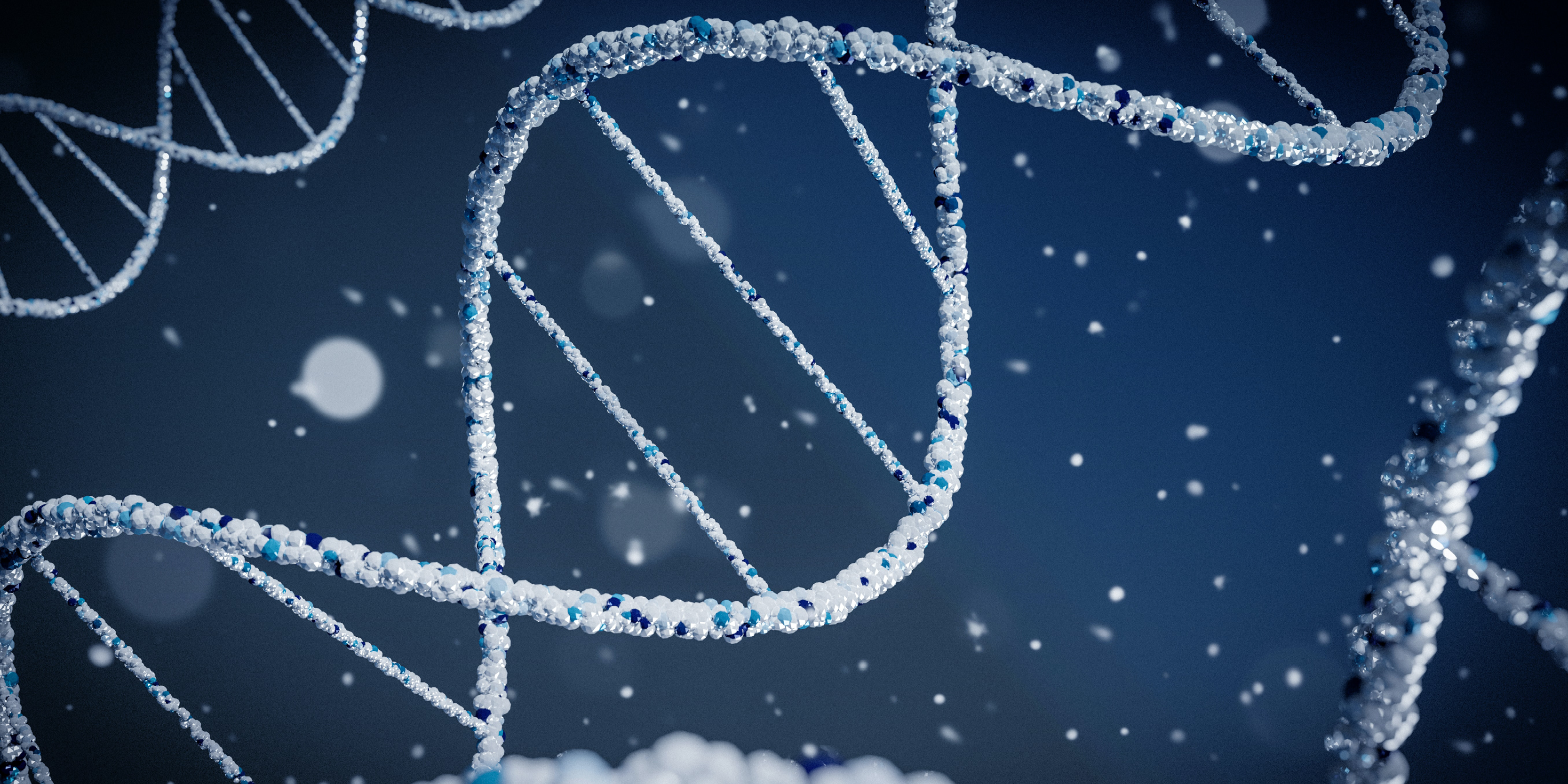 Quebec City: Génome Québec and Université Laval launch Genovalia, Quebec's first non-human genomics data development center