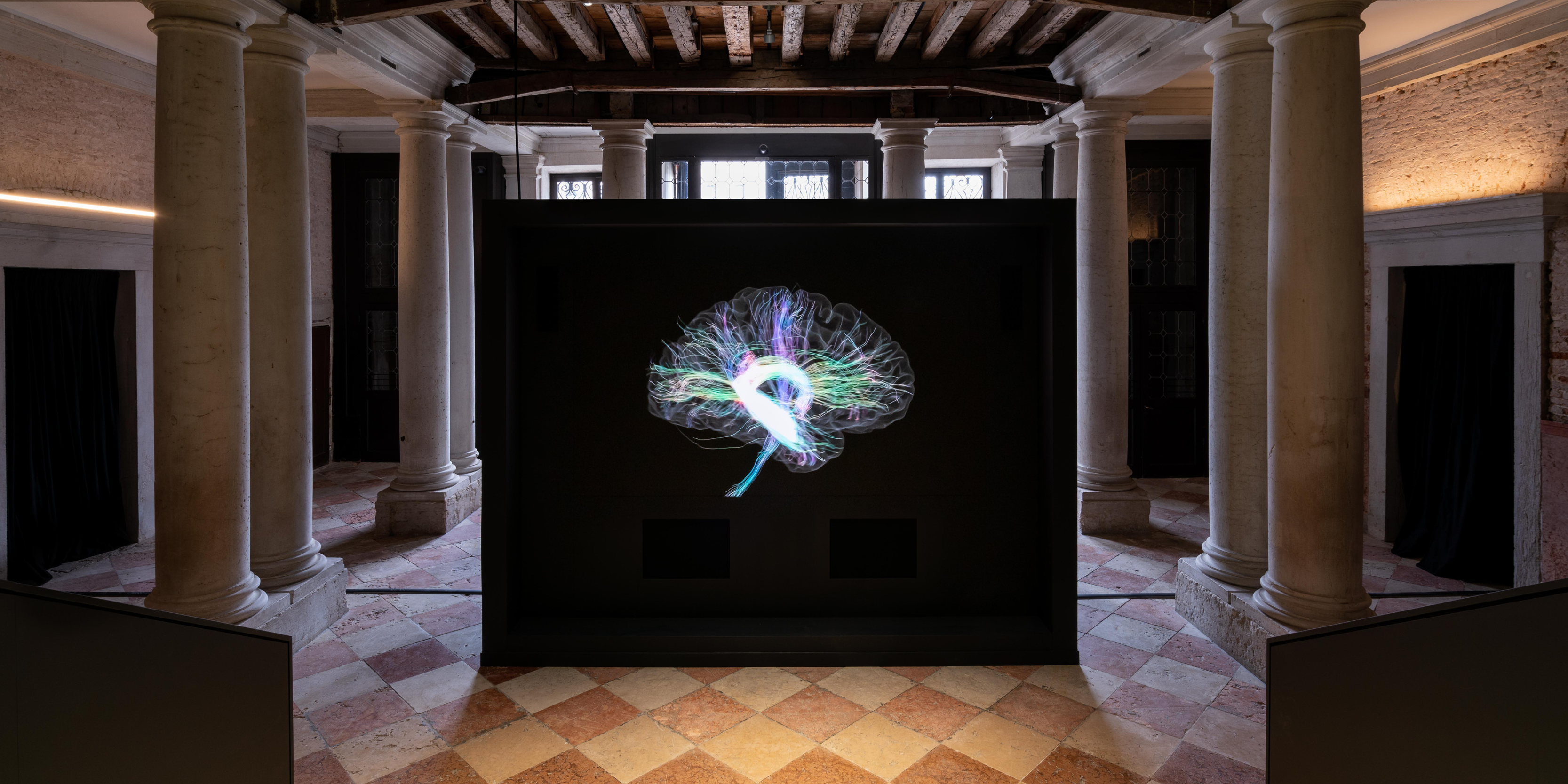Neuroscience: the Prada Foundation presents the exhibition "Human Brains: It Begins with an Idea" in Venice