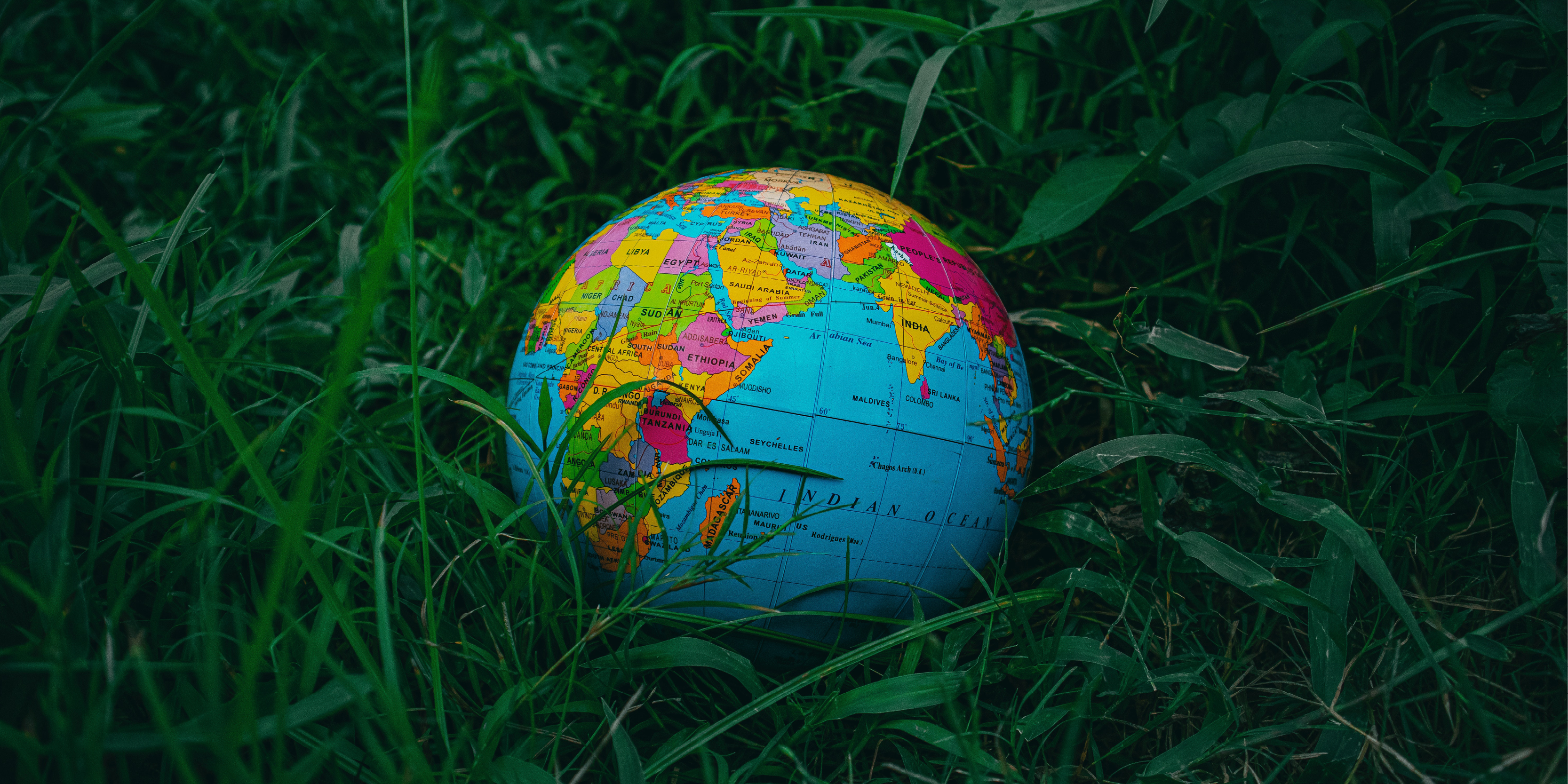 Oracle releases new study on AI and environmental, social and governance criteria