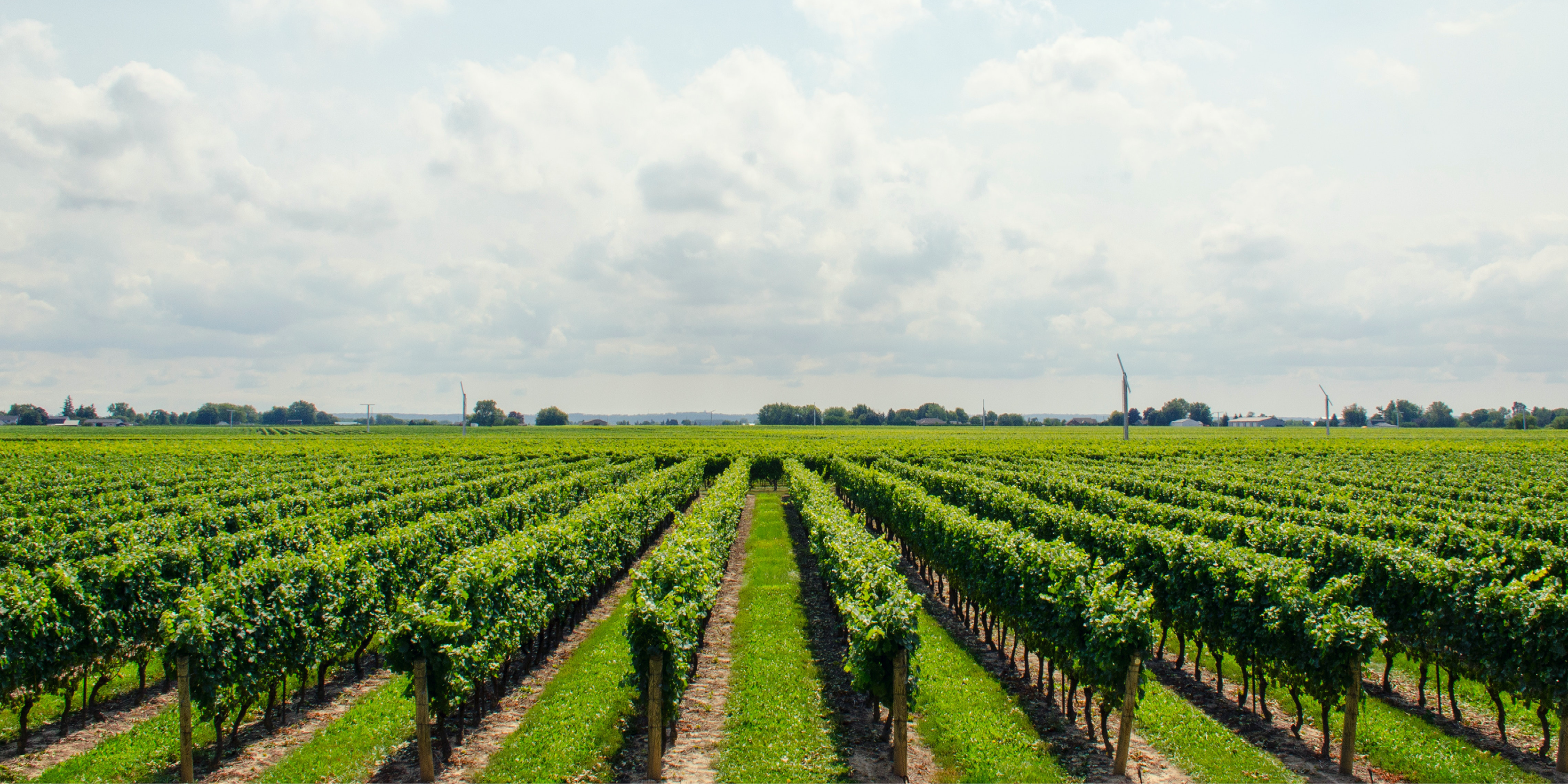 Marseille-based start-up Telaqua announces a €4 million fundraising round