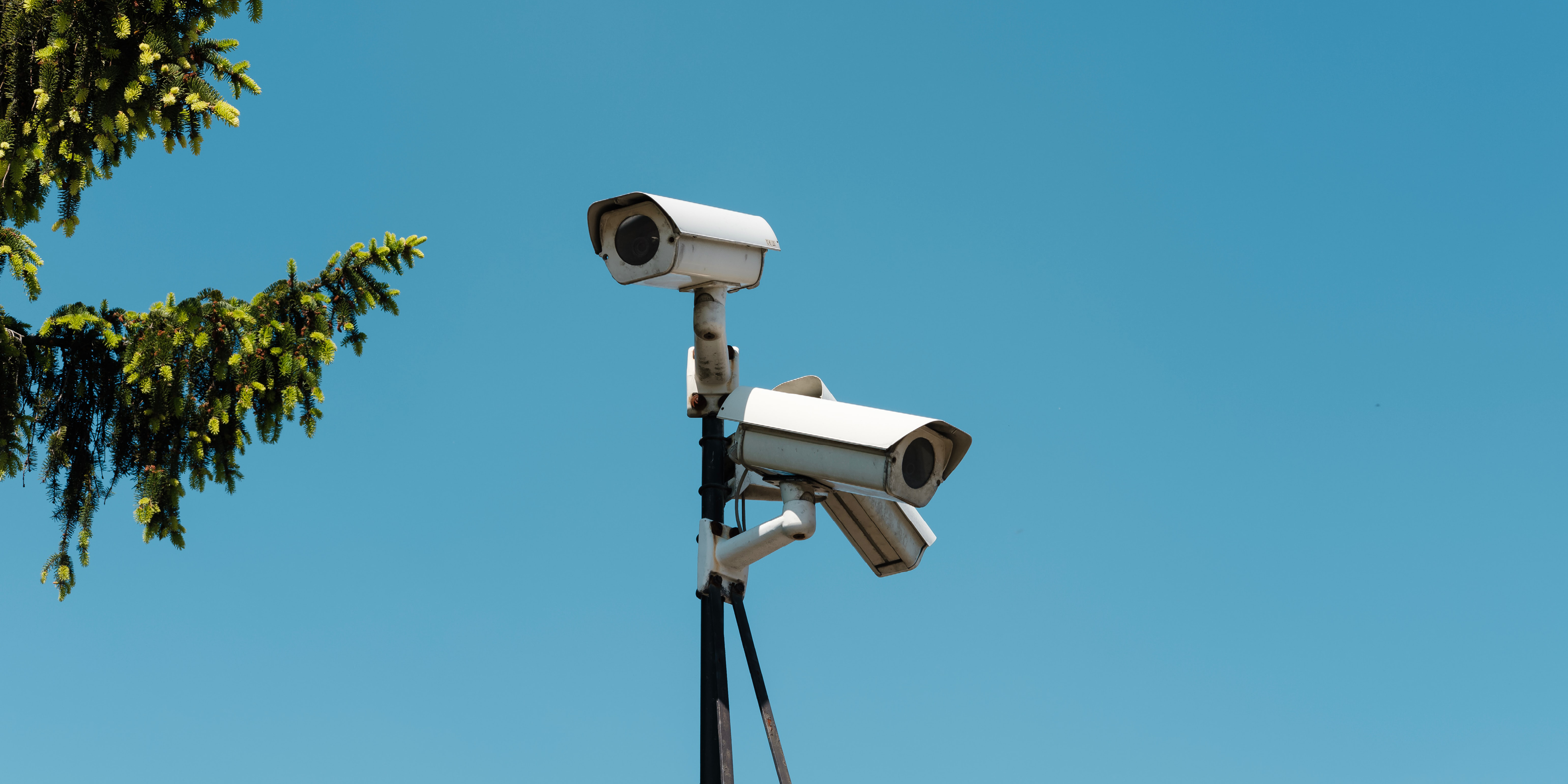 The city of Nice equips 32 of its cameras with the Cityvision solution from Wintics