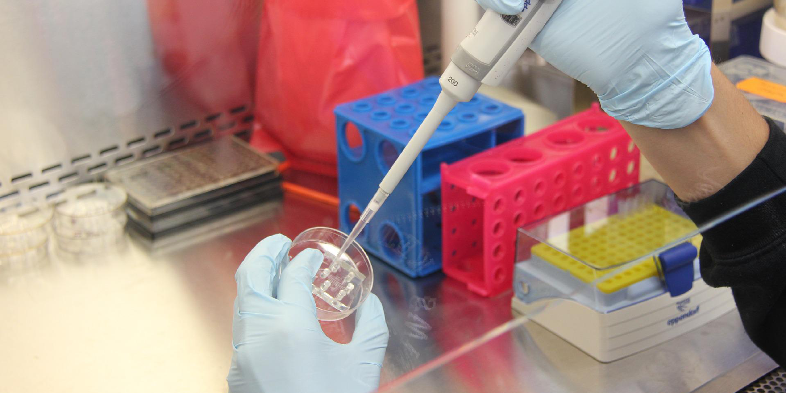 This machine learning model detects microbial contamination in cell cultures