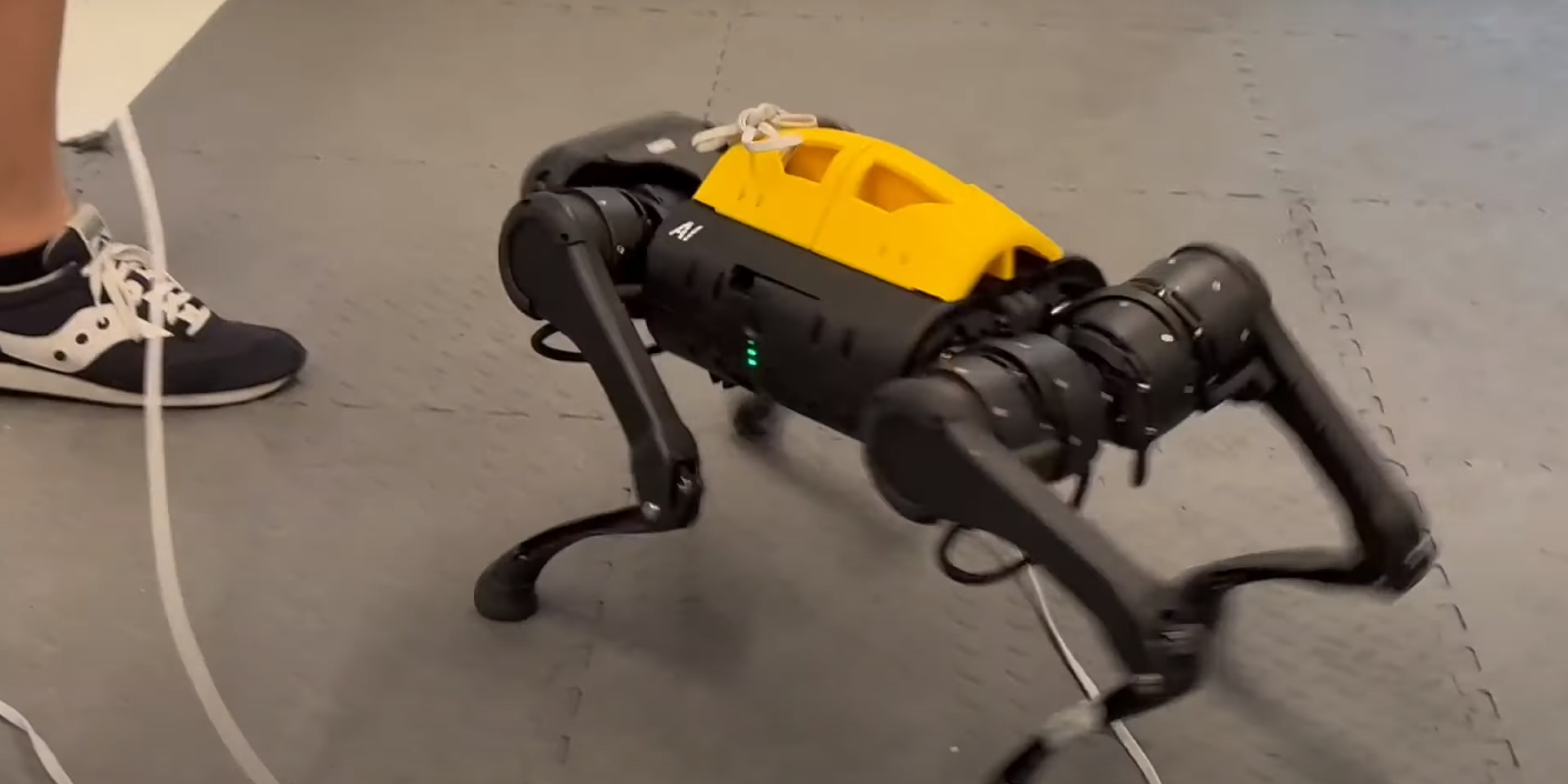 DayDreamer : former les robots dans le monde réel grâce à l'apprentissage par renforcement en ligne
