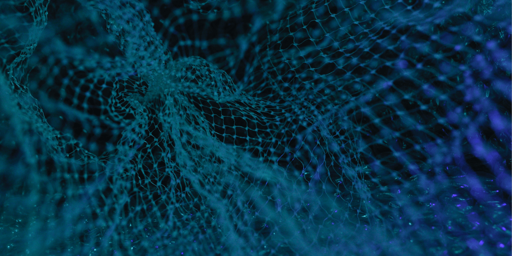 Predicting protein function using deep learning