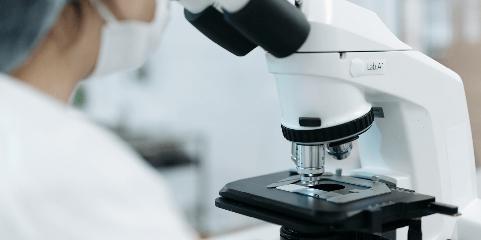 Institut Pasteur researchers launch an open platform for sharing super-resolution microscopy data