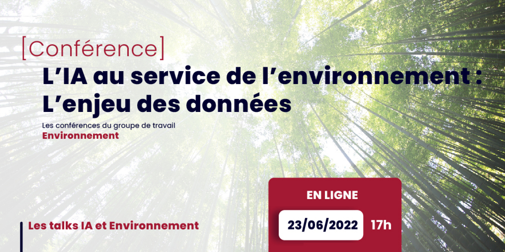 Replay: Conference "AI for the environment, the challenge of data" organized by the Hub France IA