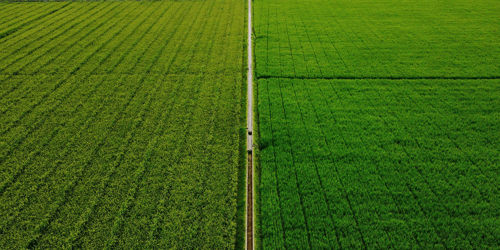 Technologie nucléaire : L’AIEA présente 7 domaines dans lesquels l’IA améliore les applications pacifiques