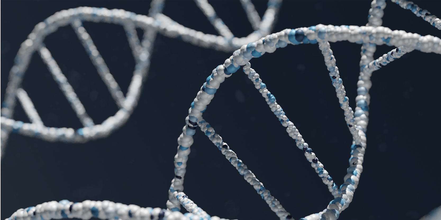 WhiteLab Genomics, lauréat du French Tech Health20, intègre France BioLead