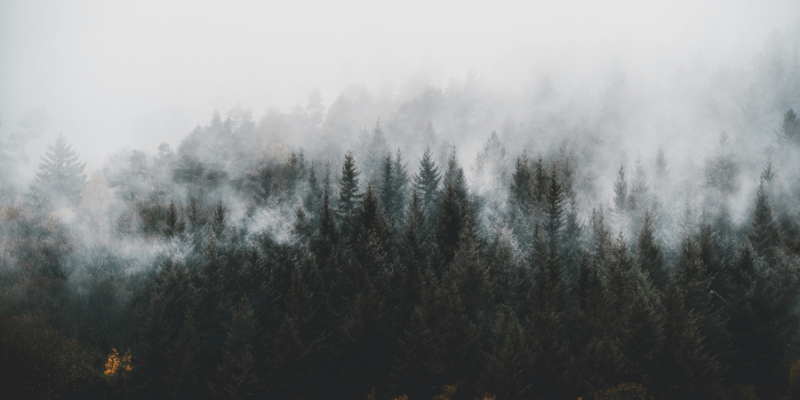 Black Forest Labs, nouvel acteur européen de l'IA générative, lance FLUX-1, une famille de modèles text-to-image