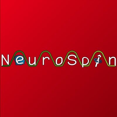 NeuroSpin