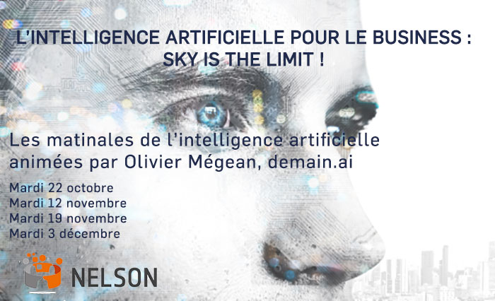 L’Intelligence Artificielle pour le Business : Sky is the limit !