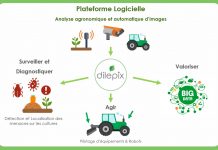 dilepix-plateforme-logicielle