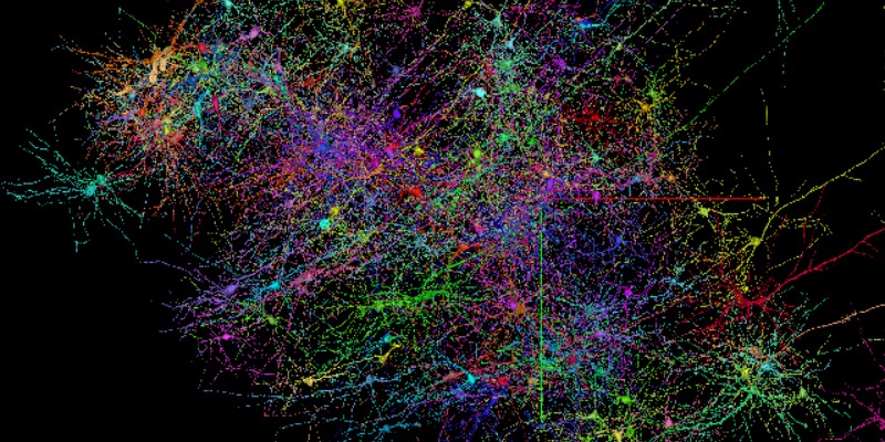 Google AI Harvard cartographie modélisation 3D cortex cérébral