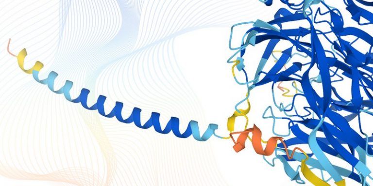 DeepMind et EMBL : une avancée majeure dans l’analyse du protéome humain grâce à l’intelligence artificielle
