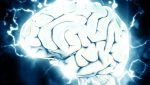 neurosciences recherche comportementale intelligence artificielle équipe projet recherche