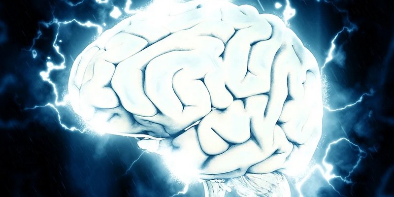 neurosciences recherche comportementale intelligence artificielle équipe projet recherche