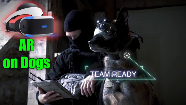 Aux États-Unis, une entreprise équipe les chiens militaires de casques de réalité augmentée