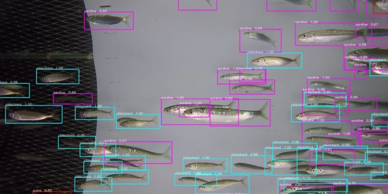 Le deep learning pour développer des filets intelligents de chalutiers au coeur du projet Game of Trawls