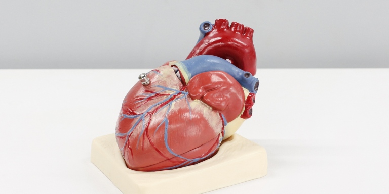 Deep learning : des chercheurs de l’Université Johns Hopkins présentent une nouvelle approche pour la prédiction des crises cardiaques dues à l’arythmie cardiaque