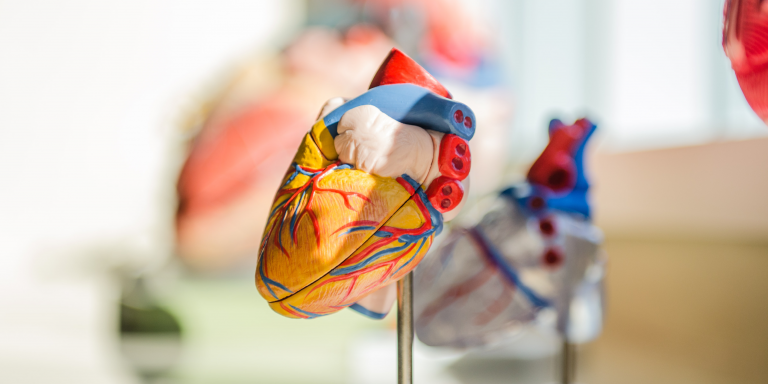 Intelligence artificielle : Un algorithme pourrait prédire les risques de crise cardiaque