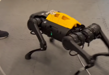 DayDreamer robot apprentissage par renforcement en ligne