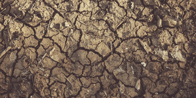 IA et cas d’usage : l’attribution des aides liées à la sécheresse via l’intelligence artificielle