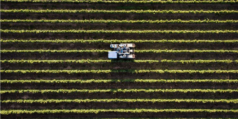 L’Indonésie et la Corée lancent une plateforme pour promouvoir la durabilité et l’innovation numérique dans le secteur agricole