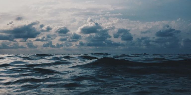 Comment Oceanbox.io perce les secrets de l’océan avec les solutions HPC de Lenovo