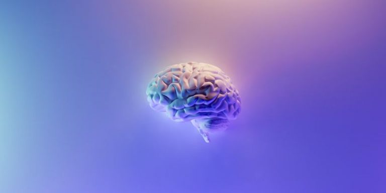 IA : La supériorité du cerveau humain sur les algorithmes d’apprentissage viendrait-elle de la configuration prospective ?